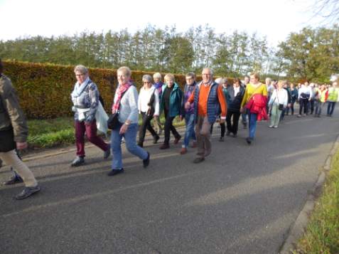 wandelen